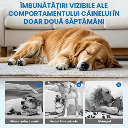 Difuzor cu Feromoni pentru Caini - Relaxare si bunastare pentru cainele tau