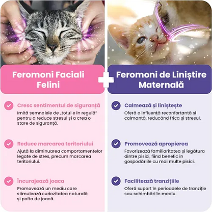 Difuzor cu Feromoni pentru Pisici - Relaxare si bunastare pentru pisica ta