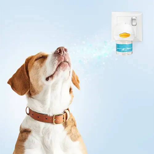 Difuzor cu Feromoni pentru Caini - Relaxare si bunastare pentru cainele tau